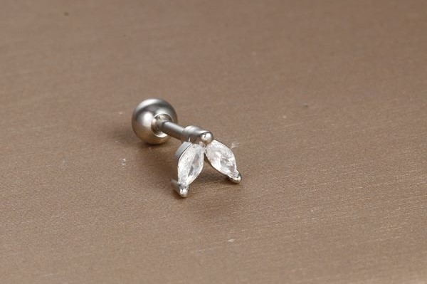 Bông tai đuôi cá