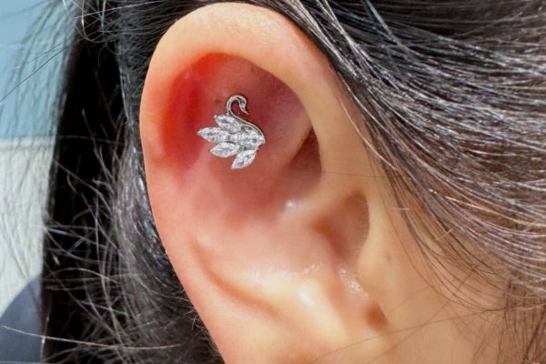 Các mẫu khuyên tai Titanium mới về