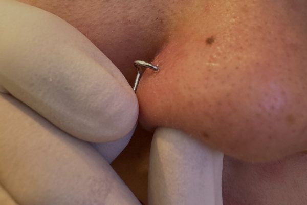 Cách đeo khuyên mũi xoắn tại nhà