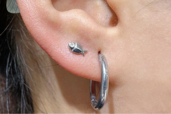 xỏ khuyên thịt tai - xỏ khuyên lobe