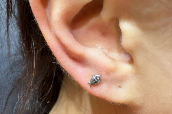 xỏ khuyên thịt tai - xỏ khuyên lobe