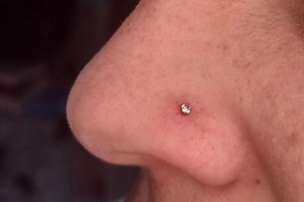 Giá xỏ khuyên môi - Xỏ khuyên cánh mũi