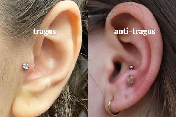 Giá xỏ khuyên tai TinyBox