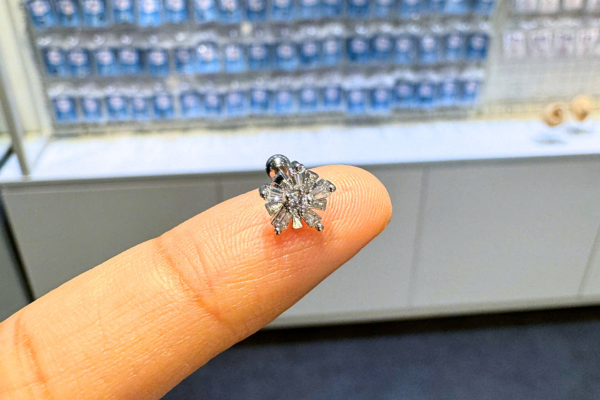 Khuyên hoa tuyết trắng