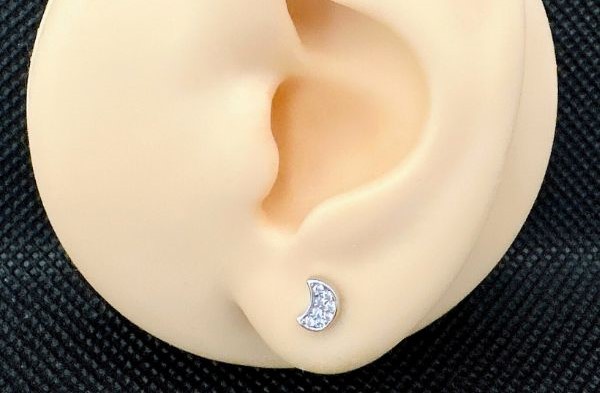 khuyên tai PAMPLEMOUSSE