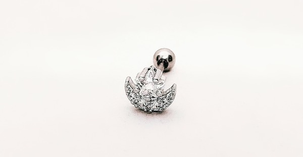 10 khuyên tai sinh vật biển cho mùa lễ bức phá