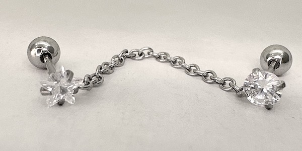 10 khuyên tai sinh vật biển cho mùa lễ bức phá