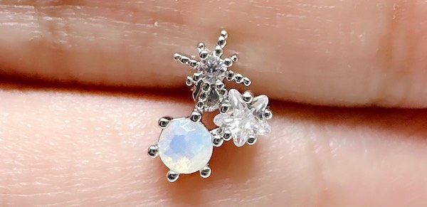 10 khuyên tai sinh vật biển cho mùa lễ bức phá