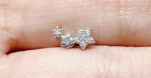 10 khuyên tai sinh vật biển cho mùa lễ bức phá