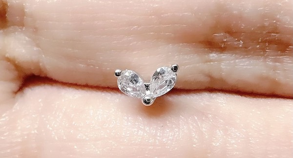 10 khuyên tai sinh vật biển cho mùa lễ bức phá