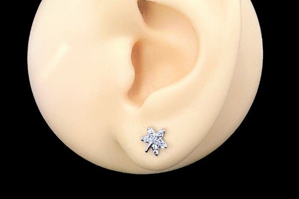 STARFISH EARRING - SILVER