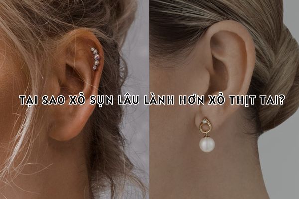Tại sao xỏ sụn tai lâu lành hơn xỏ thịt tai?