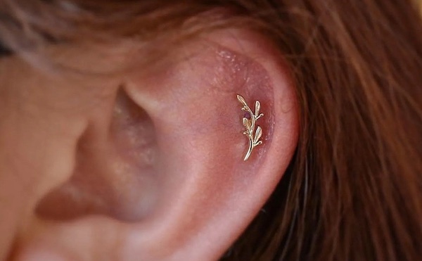 Tại sao xỏ sụn tai lâu lành hơn xỏ thịt tai?