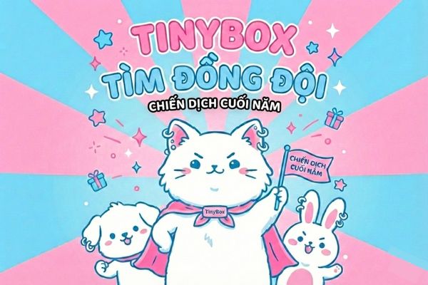 TINYBOX TUYỂN DỤNG: TÌM ĐỒNG ĐỘI "CHIẾN" MÙA TẾT