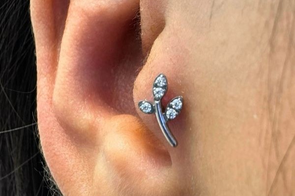 xỏ khuyên sụn tai cho các bạn nữ - Ảnh 2/2024