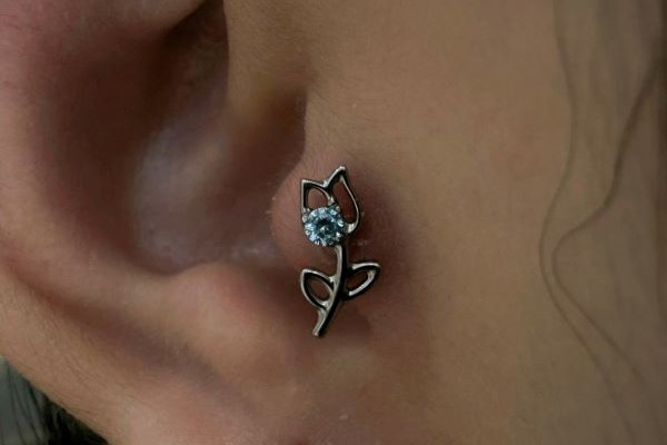 xỏ khuyên sụn tai cho các bạn nữ - Ảnh 2/2024