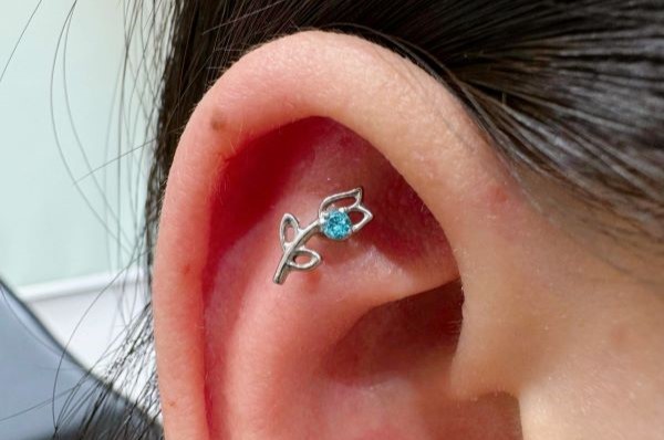 xỏ khuyên sụn tai cho các bạn nữ - Ảnh 2/2024