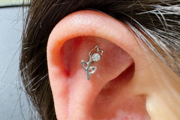 xỏ khuyên sụn tai cho các bạn nữ - Ảnh 2/2024
