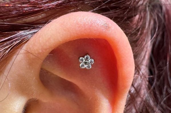 xỏ khuyên sụn tai cho các bạn nữ - Ảnh 2/2024