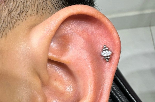 Ảnh vị trí xỏ khuyên tai được nam giới yêu thích nhất 3/2024
