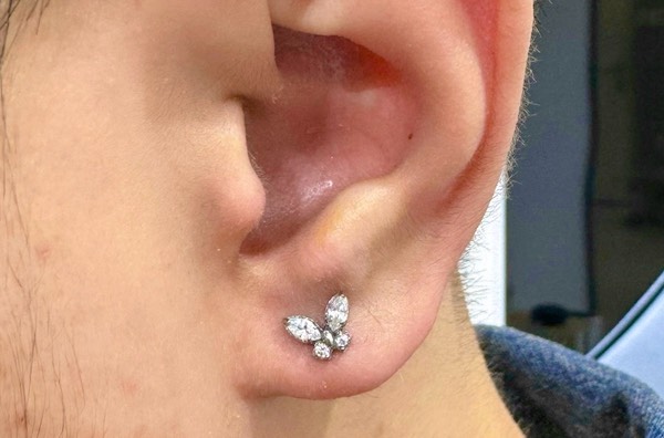 Ảnh vị trí xỏ khuyên tai được nam giới yêu thích nhất 3/2024