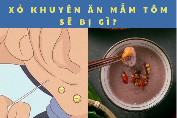 Xỏ khuyên ăn mắm tôm được không?