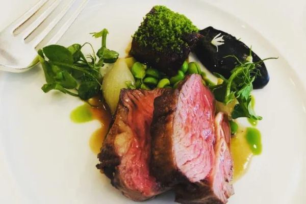 Xỏ khuyên ăn thịt bò bị gì không? Lỗ xỏ có bị sẹo lồi?