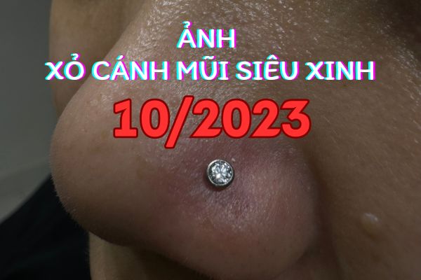 Ảnh xỏ khuyên cánh mũi cho khách tại shop TinyBox 10/2023