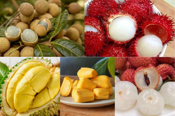 Xỏ khuyên có nên ăn xoài không