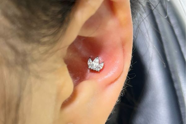 ảnh xỏ khuyên sụn tai