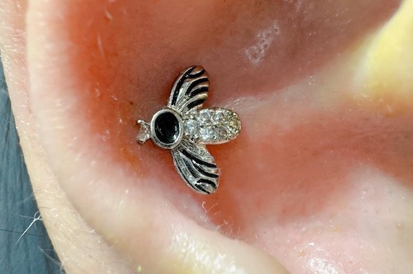 Nữ xỏ khuyên tai