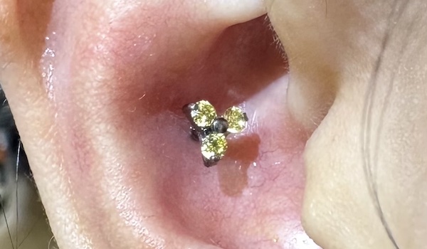 xỏ khuyên tai conch