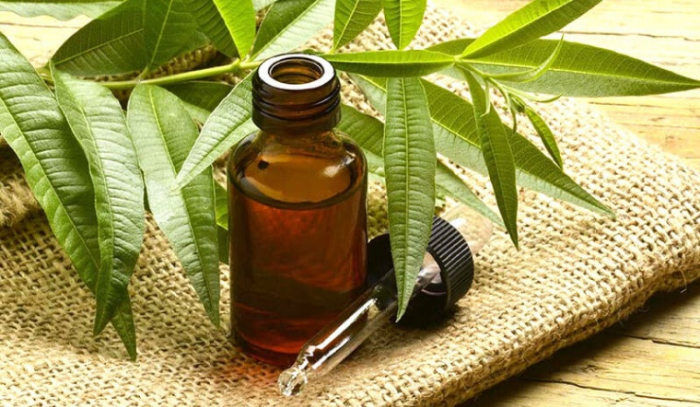 Tinh dầu tràm trà đặc biệt hiệu quả trong các cách trị thâm mụn năng