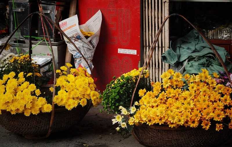 Gánh hoa cúc vàng