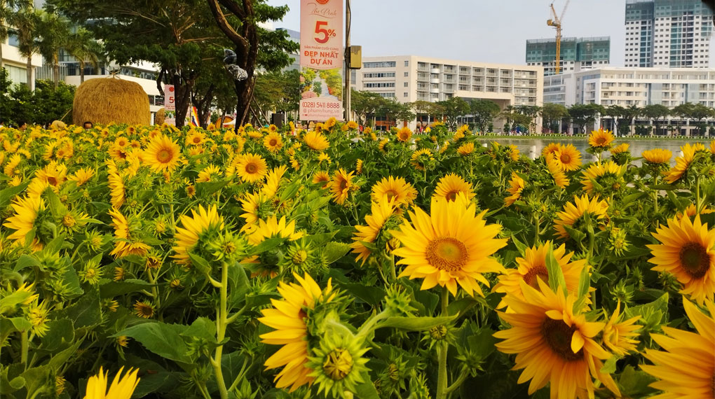 Trải nghiệm tốt với Camera góc rộng