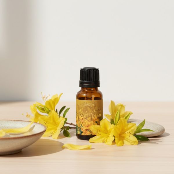 Tinh dầu ngọc lan lây