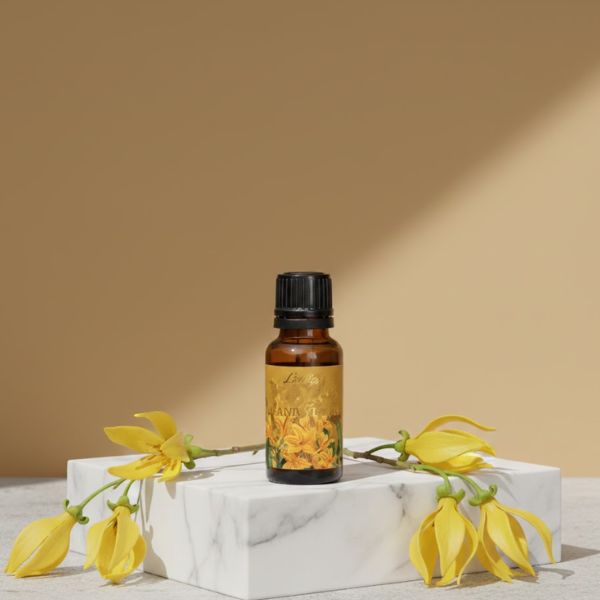 Tinh dầu ngọc lan tây (Ylang Ylang)