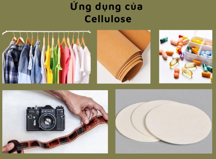 Cellulose có rất nhiều ứng dụng cho cuộc sống