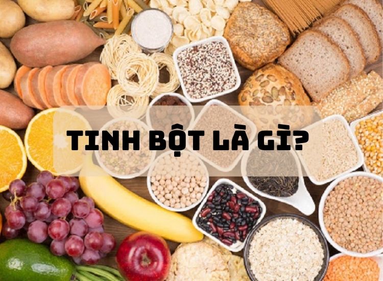 Tinh bột là gì?