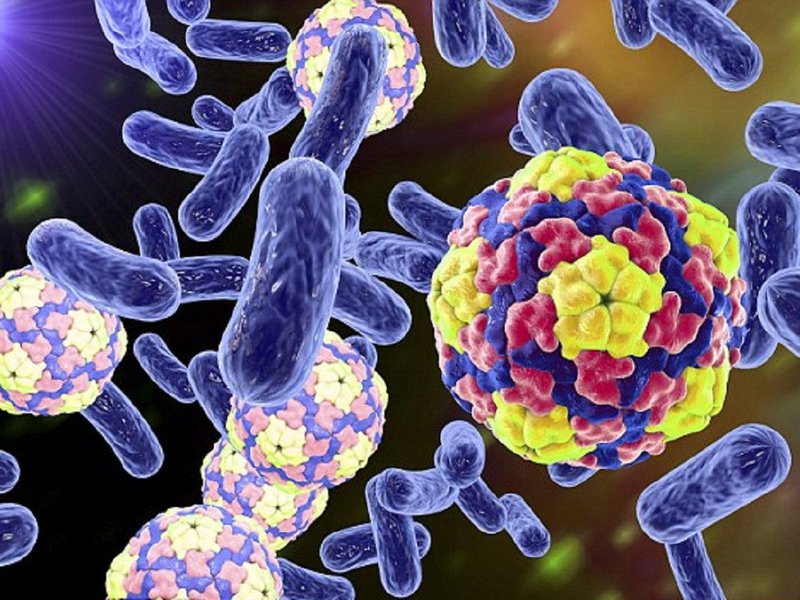 Vi sinh vật có đặc điểm gì?