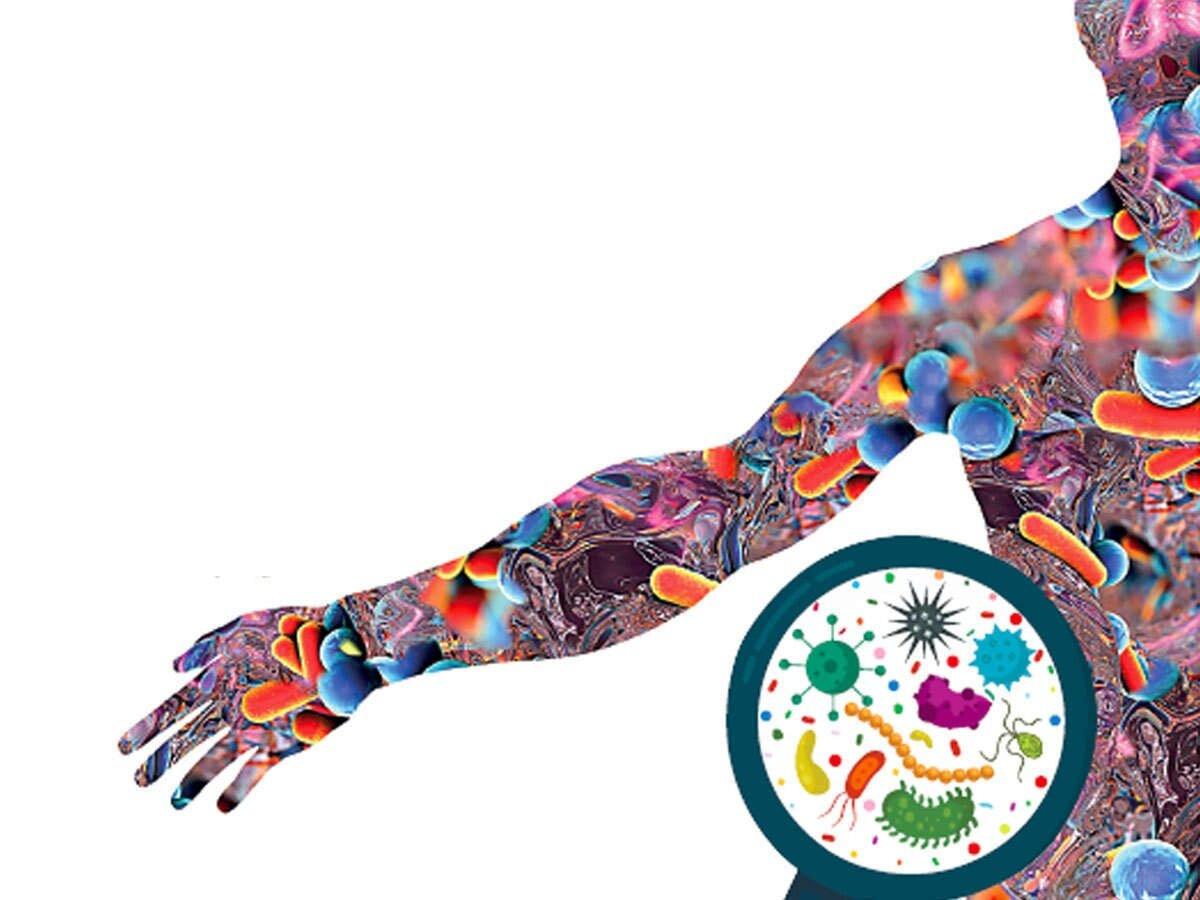 Da là nơi có nhiều vi sinh vật kí sinh nhất