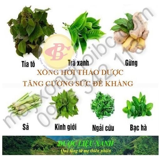 thảo dược xông hơi