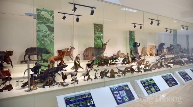 cuc-phuong-national-park5-rt-travel