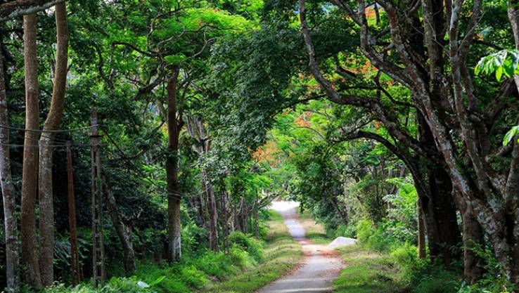 cuc-phuong-national-parl11-rt-travel