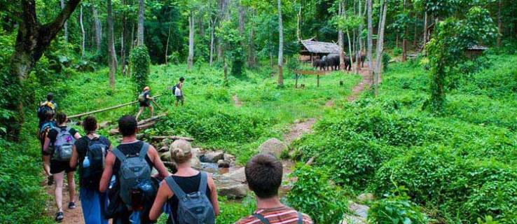 cuc-phuong-national-park12-rt-travel