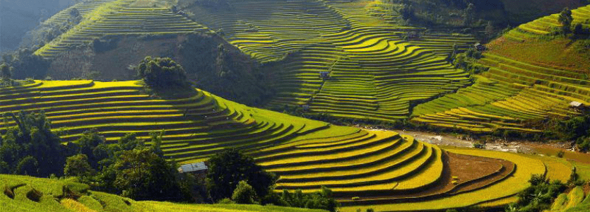 The magical beauty of Lao Chai village