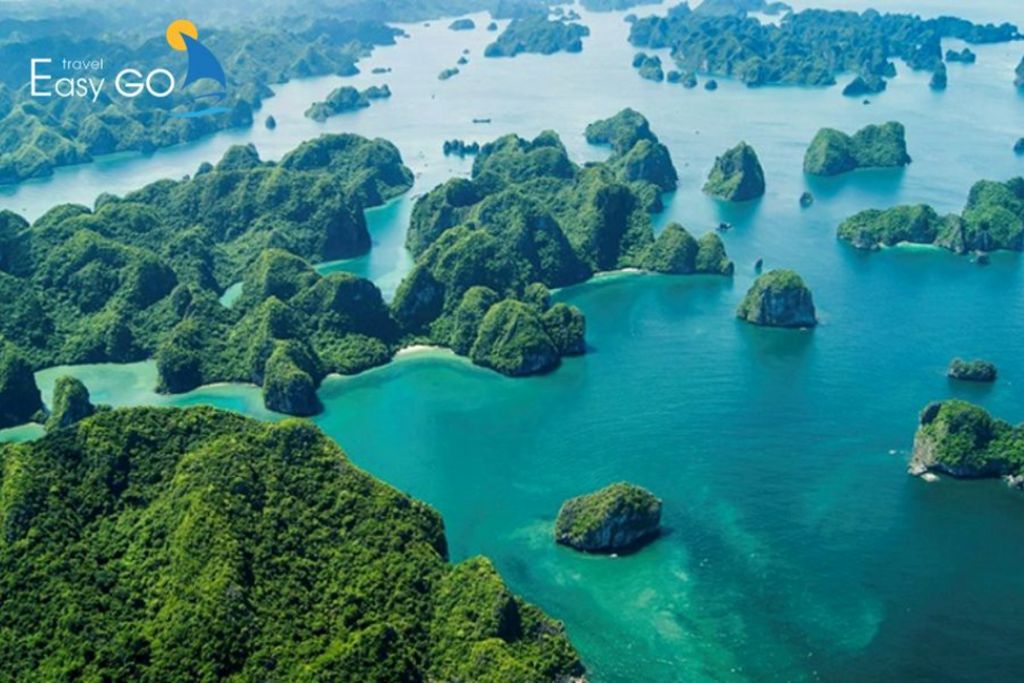 Vịnh Bái Tử Long