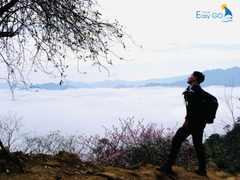 Trekking săn mây Tà Xùa tại rừng nguyên sinh quốc gia