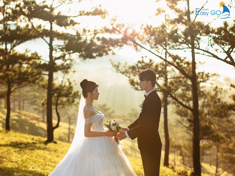 Đồi trọc là điểm chụp ảnh cưới nổi tiếng tại Đà Lạt