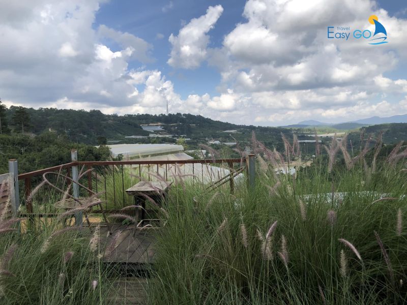 Các quán cafe chill săn mây Đà Lạt